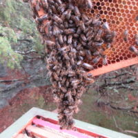 Miniaturansicht für das Anzeigenbild